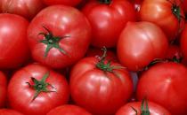 男人吃西红柿能改善精子活力