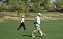 老人饭后半小时再散步最佳