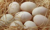 女人肾虚吃什么食物好？