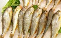 冬季吃哪种鱼好？盘点最适合冬季进补的9种鱼