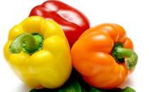 提高老人记忆力养成6个小习惯