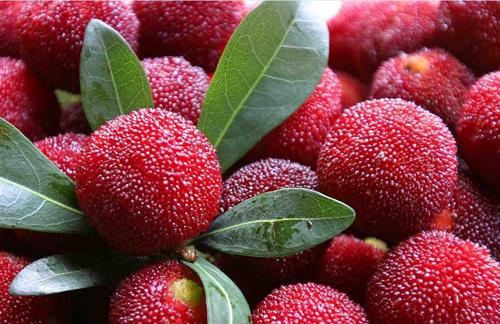 哪些坏习惯会导致白领不孕不育