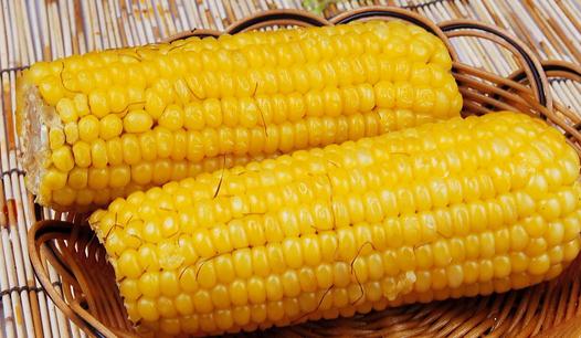 减肥晚餐吃什么好?晚餐吃这些效果超减肥药