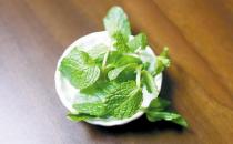 营养丰富的薄荷 介绍4款薄荷的食疗药膳方