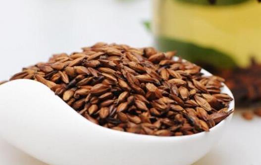 大麦茶的功效与作用是什么?空腹时不宜喝茶