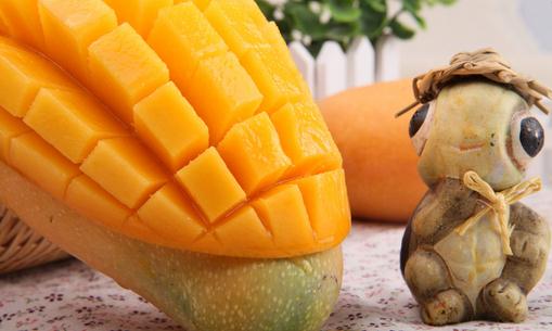芒果的营养作用 孩子在冬天吃芒果好不好