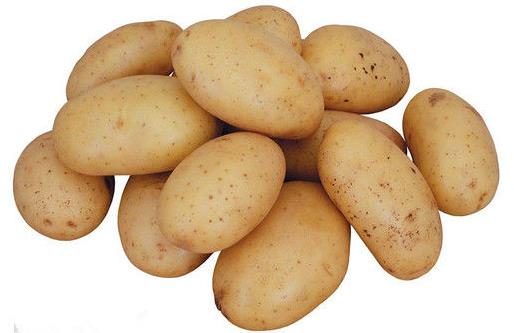土豆营养价值高 土豆的做菜的窍门