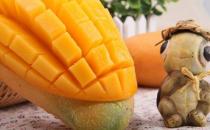 芒果的营养作用 孩子在冬天吃芒果好不好