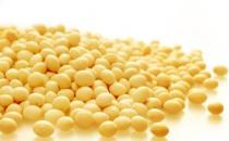 吃黄豆预防老年痴呆 10大保健功效必知