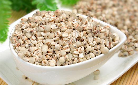 生命健康之禾 薏米的作用与功效