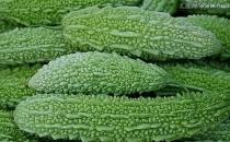 想瘦就瘦 苦瓜减肥食谱