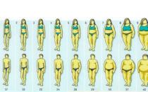 不同体型有那些减肥方法