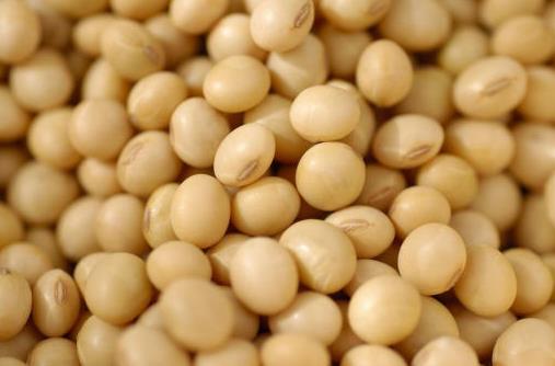 吃什么对乳房好？保护乳房的食物推荐