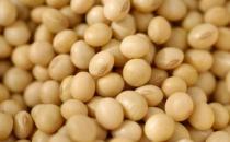 吃什么对乳房好？保护乳房的食物推荐