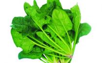 女性贫血吃什么 补血食疗方推荐