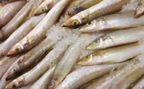 男人吃什么可以壮阳？壮阳补肾的四类食物推荐