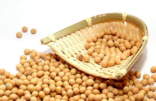 冬季如何进补合适?冬天补脾胃的方法