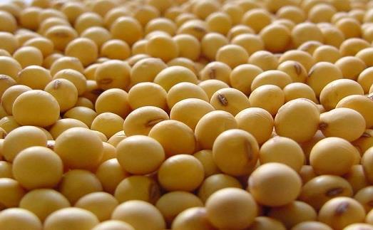 女人吃什么少得病？女性健康饮食方案推荐