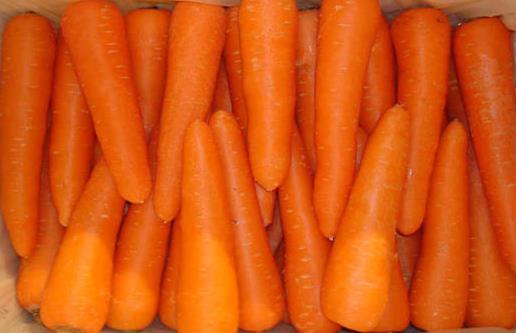 四种萝卜各有什么营养?红白萝卜混吃是禁忌