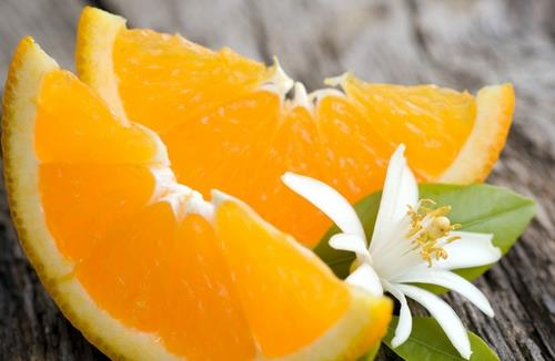 开车一族五招养生 驾车安全又健康