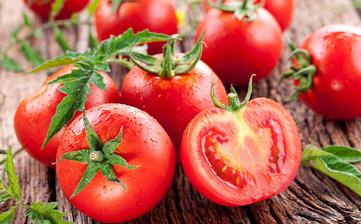 西红柿_番茄,西红柿的功效与作用,营养价值,西红柿的做法大全