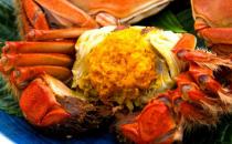 盘点中国的12种名蟹