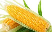 吃玉米可防高血糖 推荐2个玉米养生保健食谱