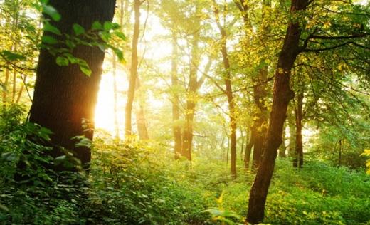 选购家用空气净化器有什么误区?