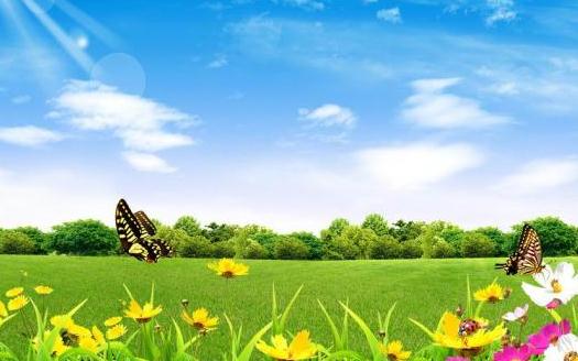 急用空气净化器?怎么选择空气净化器?