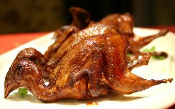 鹌鹑肉_鹌鹑的营养价值,营养成分,功效与作用,鹌鹑的做法大全 鹌鹑肉_鹌鹑的营养价值,营养成分,功效与作用,鹌鹑的做法大全