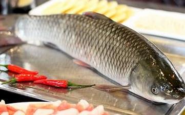 草鱼_草鱼的营养价值,功效与作用,草鱼怎么做好吃,草鱼的做法大全