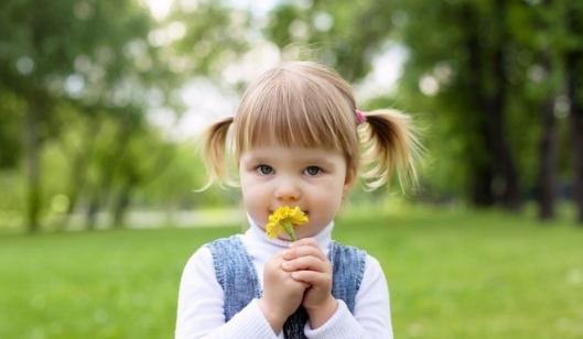 空气净化器的监管应该如何跟进?