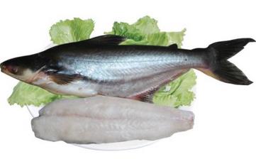 鳕鱼_鳕鱼的营养价值,营养成分,功效与作用,鳕鱼的做法大全