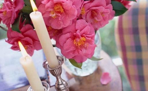 带空气净化功能的自行车?再也不怕雾霾啦!