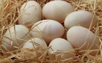 每天一个蛋好处多 细数鸡蛋的功效