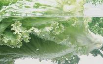 为你介绍六个焯菜的小技巧