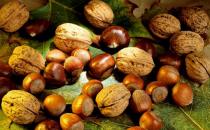 养生三宝推荐：核桃、栗子和榛子