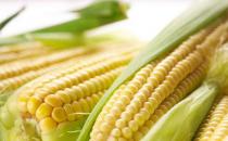 老玉米和嫩玉米怎么辨别？教你挑出好玉米