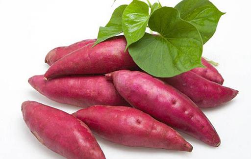 红薯,世界上性价比最高的食物