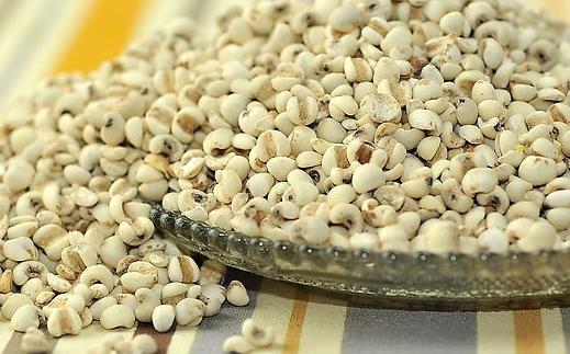 体内湿气重吃什么好?去除湿气的食物推荐