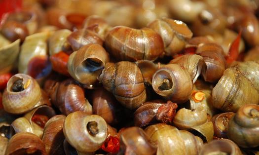 女性经期不能吃什么?经期饮食的宜与忌