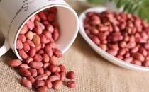 白领必备的健康零食