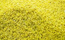 女性备孕吃什么好？13款好孕食物推荐