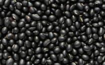 女人冬季一定要补肾 13种补肾食物推荐