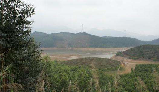 阴宅风水选择-什么阴宅的风水好?