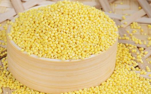 九种食物促进脑部发育 让宝宝健康又聪明