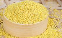 九种食物促进脑部发育 让宝宝健康又聪明