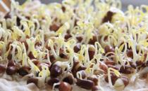 黄豆芽和绿豆芽有什么区别？