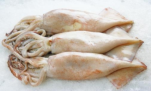 鱿鱼有什么营养价值?