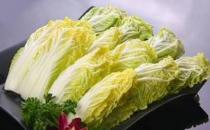 白菜和娃娃菜有啥区别？盘点各种“白菜”的区别